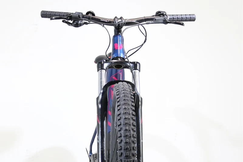 GIANT LIV Vall-E+3 Power 2019 T.S 245765