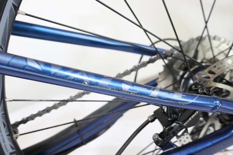 GIANT LIV Vall-E+3 Power 2019 T.S 245765