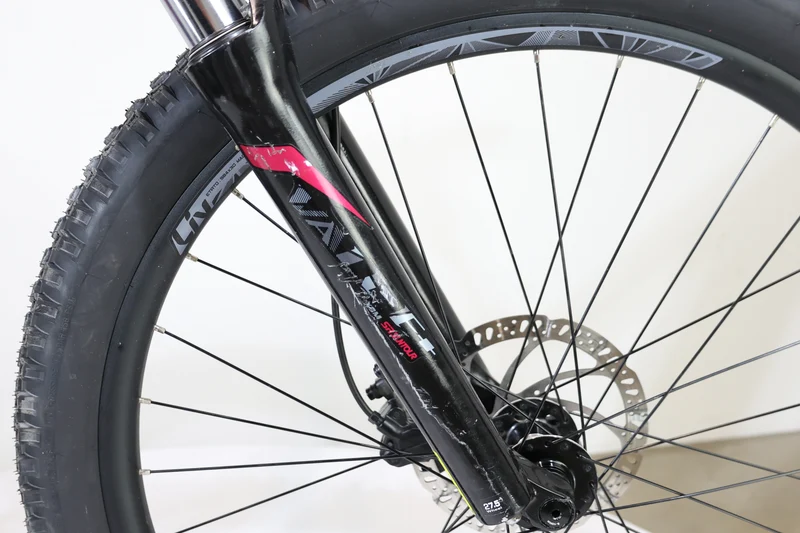 GIANT LIV Vall-E+3 Power 2019 T.S 245765