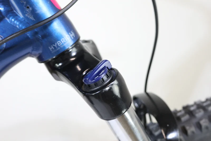 GIANT LIV Vall-E+3 Power 2019 T.S 245765