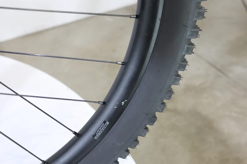 Giant Reign SX 2018 T.S 244655