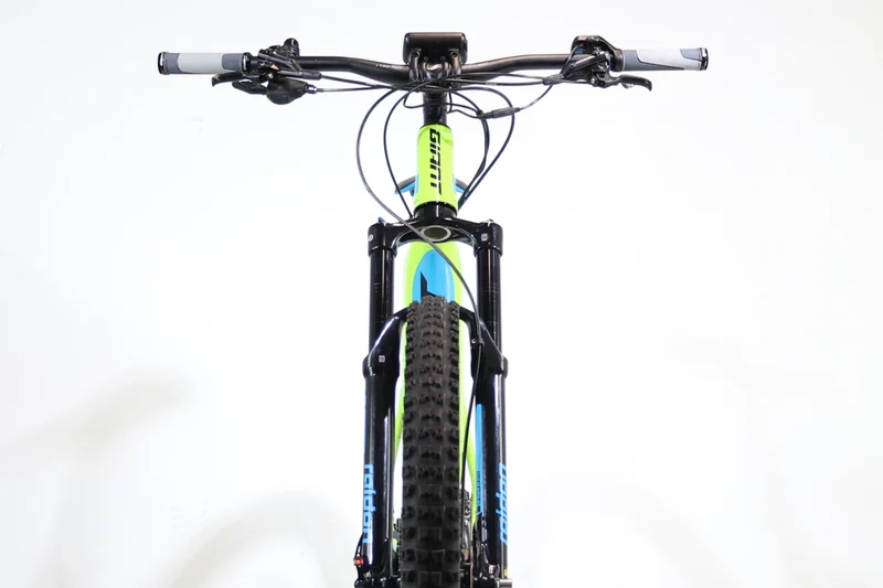 GIANT Dirt E+2 Pro 2019 L 3092