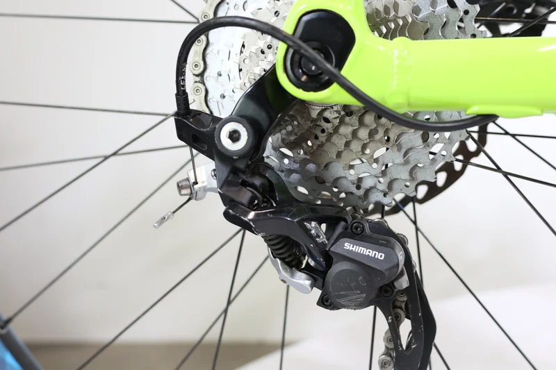 GIANT Dirt E+2 Pro 2019 L 3092