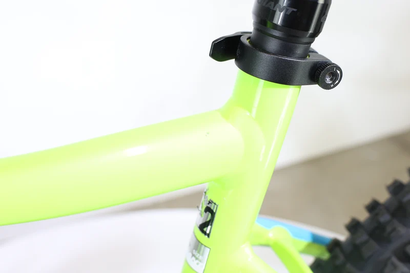 GIANT Dirt E+2 Pro 2019 L 3092