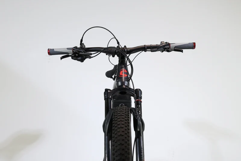 Cannondale Cujo Neo 2019 500wh 3021