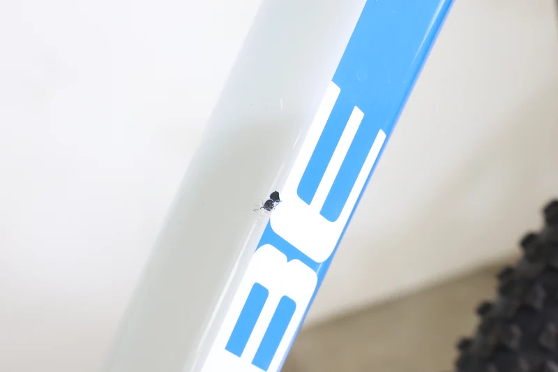 Cube AMS 100 C:68 SL Teamline 2021 T.L 3002