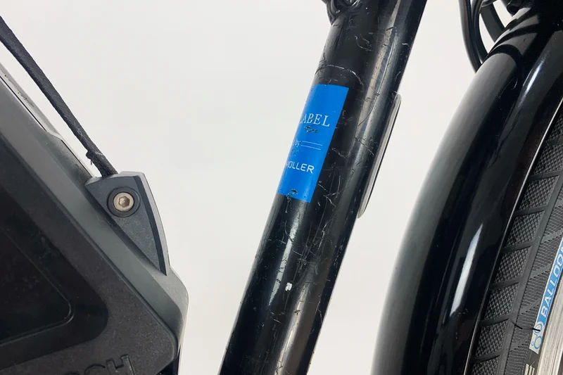 Riese&Müller Cruiser mixte hybride nuvinci