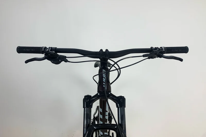 GIANT Stance 29.1