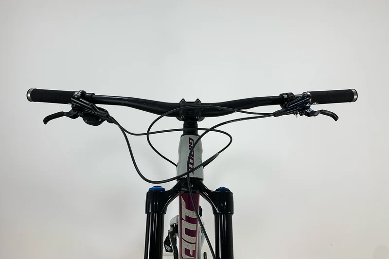 GIANT Reign 29 SX 2021 XL