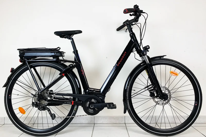 PEUGEOT EC01 D10 2020 L