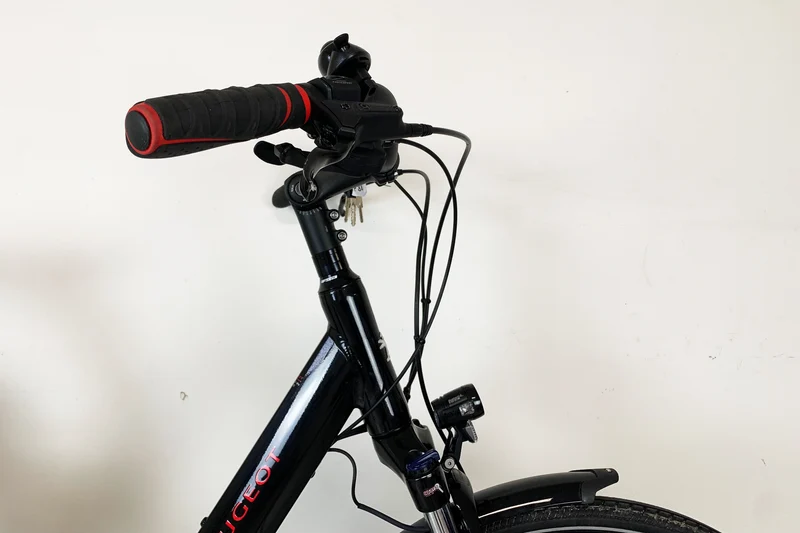 PEUGEOT EC01 D10 2020 L