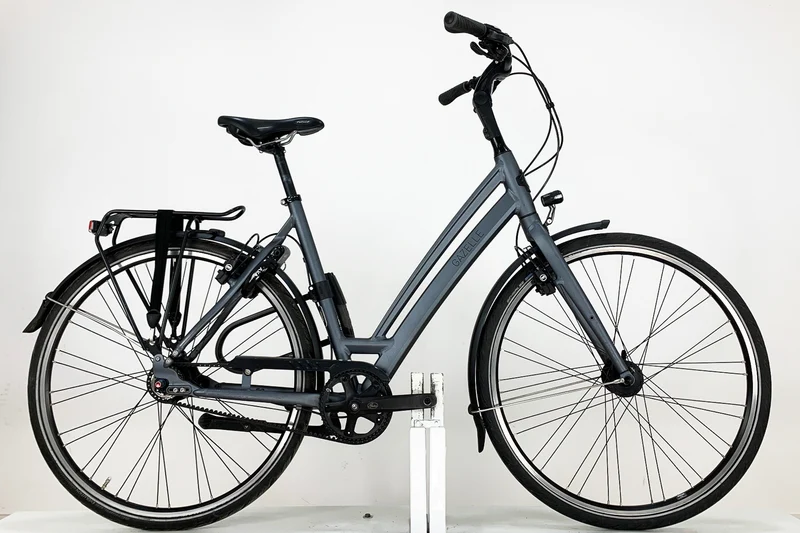 GAZELLE Chamonix S8 2021
