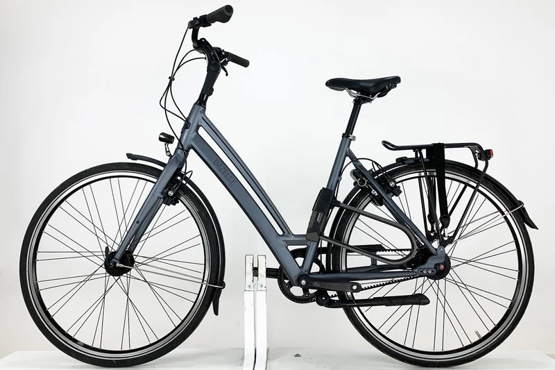 GAZELLE Chamonix S8 2021