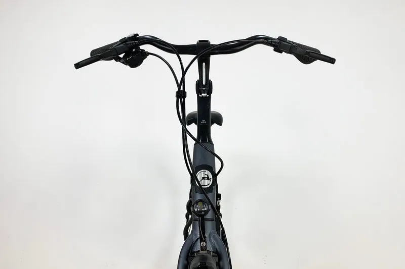 GAZELLE Chamonix S8 2021