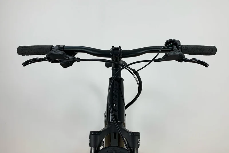 GIANT Roam E+ GTS L