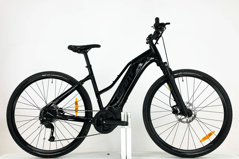 GIANT Roam E+ STA M