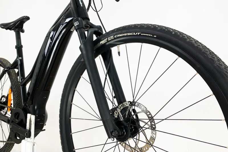 GIANT Roam E+ STA M