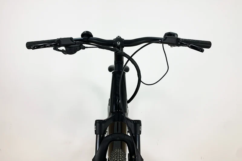 GIANT Roam E+ STA M