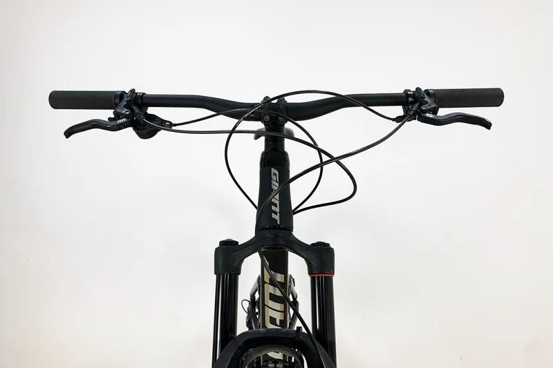 GIANT Trance 2021 L