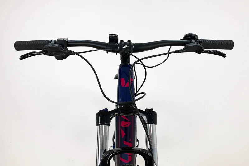 GIANT LIV Vall-E+3 Power 2019 M
