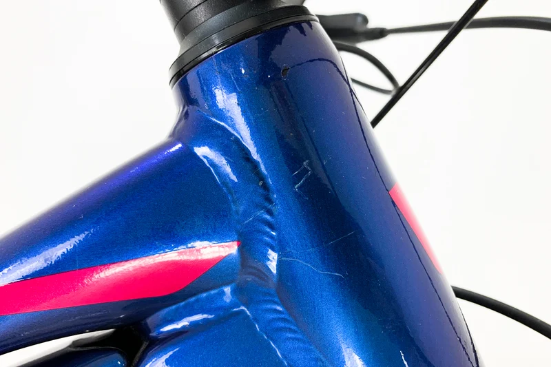 GIANT LIV Vall-E+3 Power 2019 M