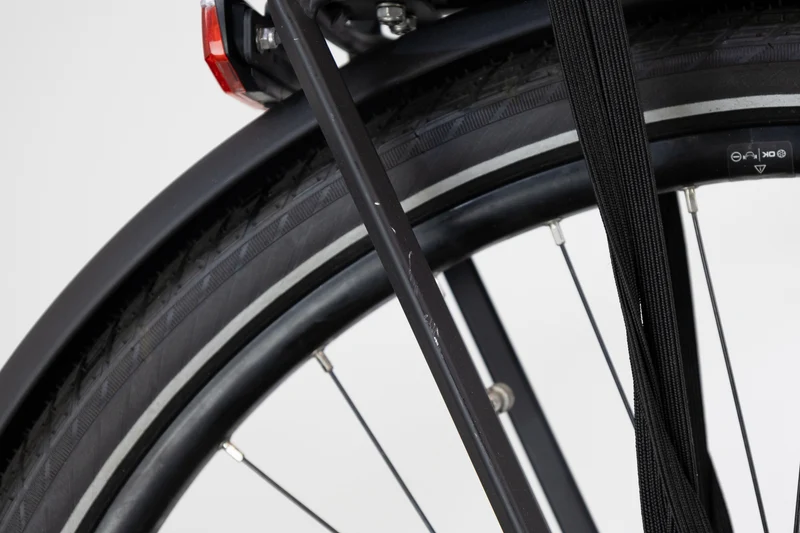 Gazelle medeo T9 2021 2456