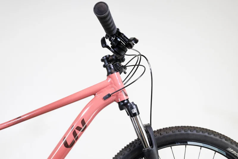 Liv Tempt 29 4 TERRA ROZA 2022 T.L 2439