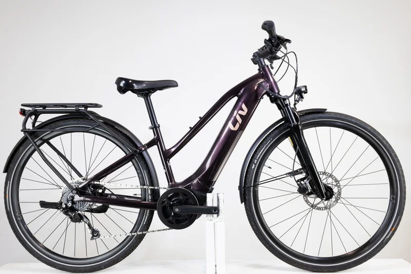 Liv Amiti E+ 2 Rosewood 2022 XS 2374