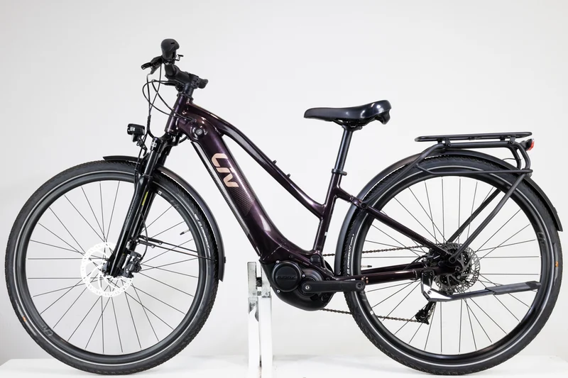 Liv Amiti E+ 2 Rosewood 2022 XS 2374