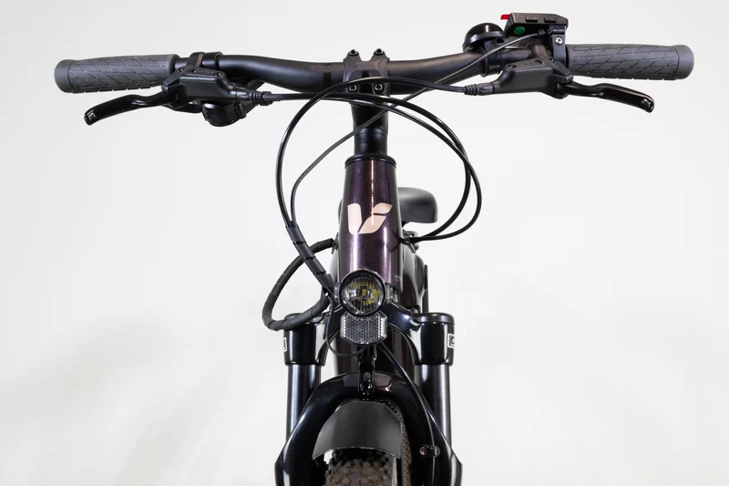 Liv Amiti E+ 2 Rosewood 2022 XS 2374