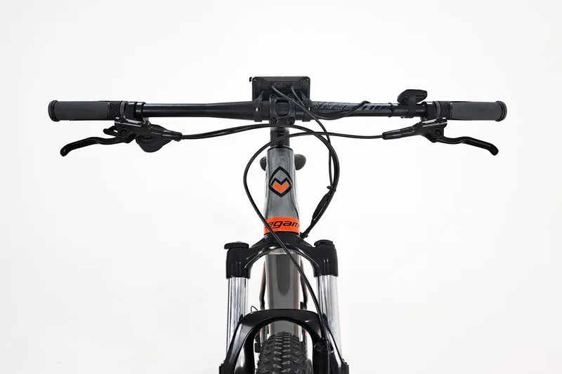 MEGAMO Ridon 07 2022 L
