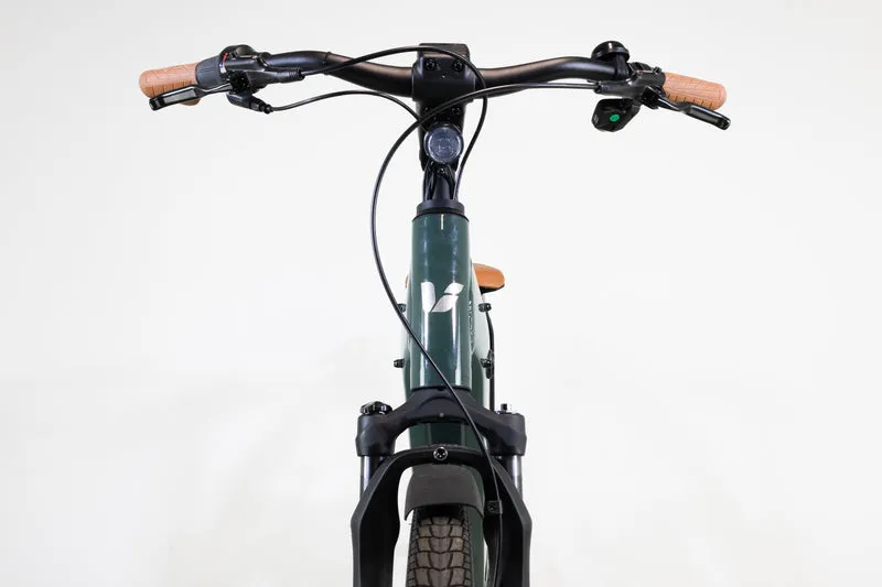 LIV Allure E+1 Trekking Green 2022 XS 2369