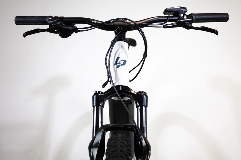 LAPIERRE Overvolt TR 3.5 2022 L 2310