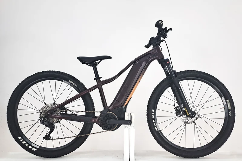 GIANT Liv Tempt E+1 Figuier 2022