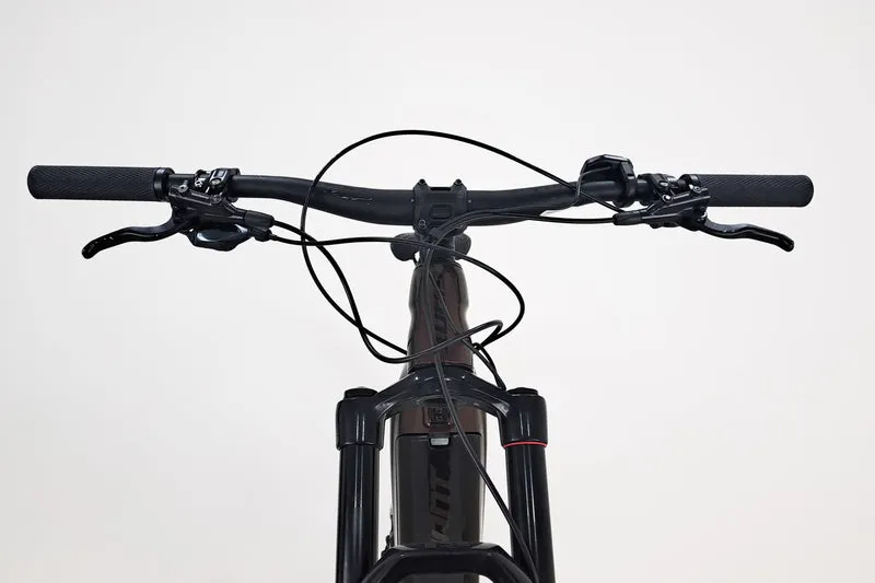 GIANT Trance X E+3 Pro 29 2021 M (1230)