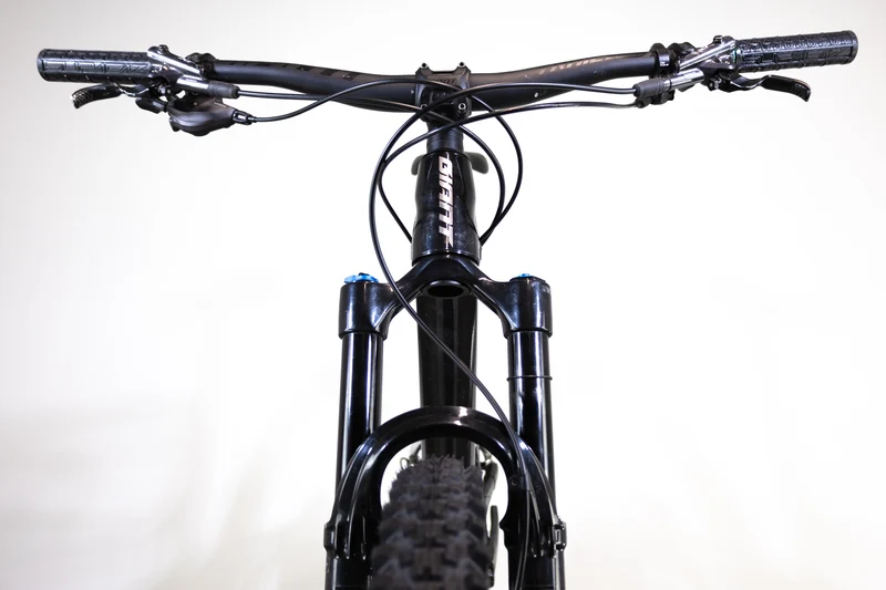 GIANT Trance X 29 1 2021 M 1902