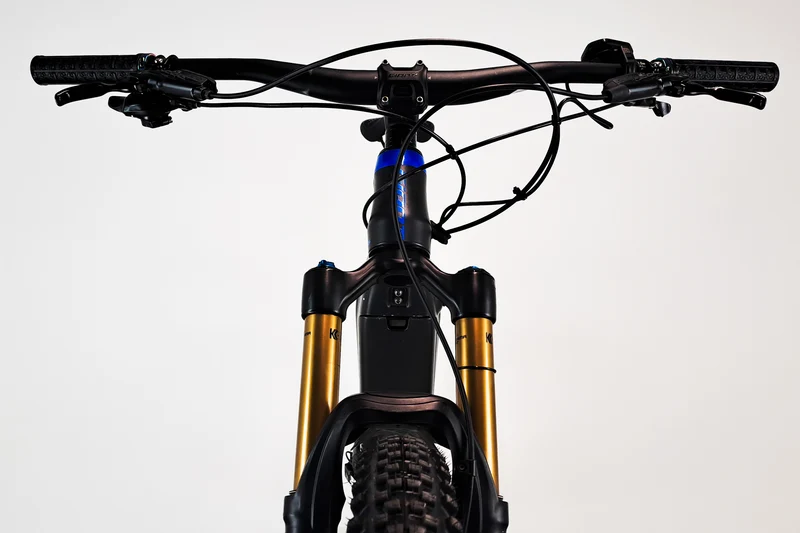 GIANT Trance E+ Pro 2020 L 1955