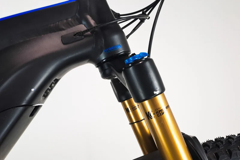 GIANT Trance E+ Pro 2020 L 1955