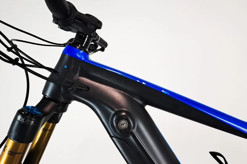 GIANT Trance E+ Pro 2020 L 1955