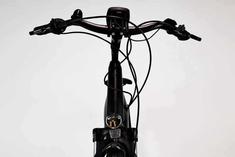 TREK District+ 6 2022 L 1953