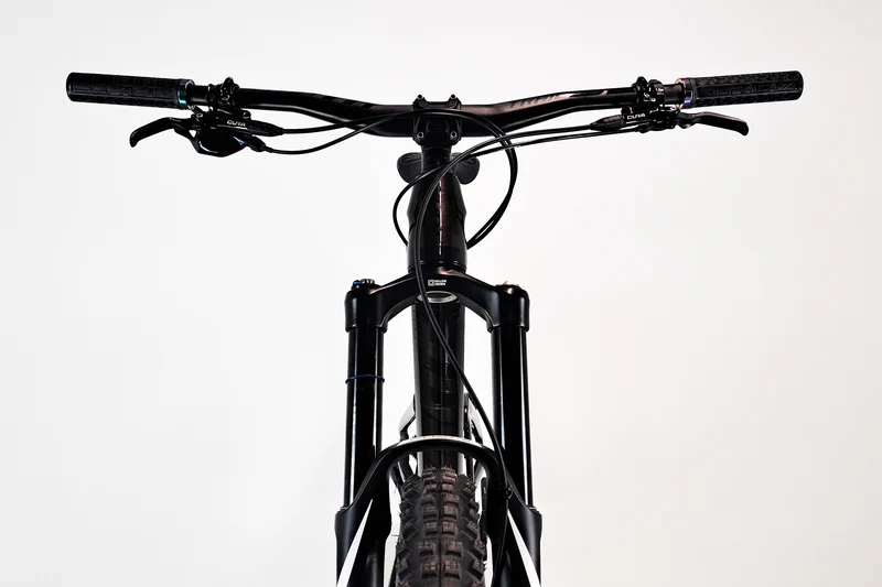 GIANT Reign Advanced Pro 29 1 2021 M 1568