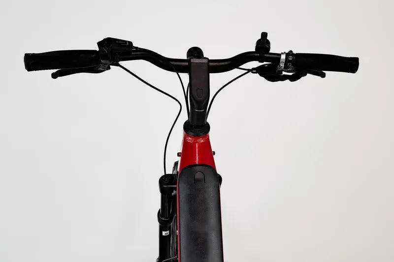 Riese & Müller Nevo Touring Rouge T.51 1828 2057