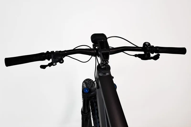Riese & Müller Delite Mountain Touring Noir 2023 T.51 1833