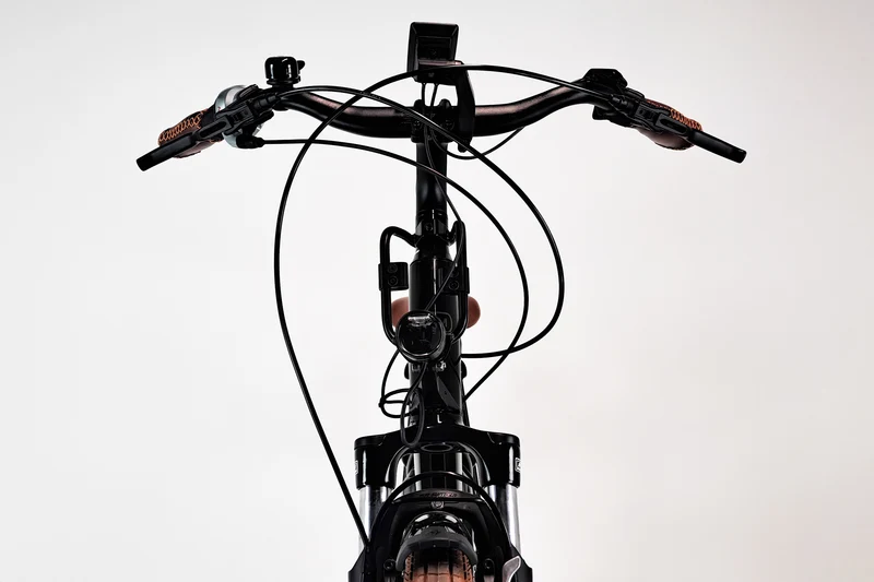 Riese & Müller Cruiser2 Mixte Silent Noir T.50 1825