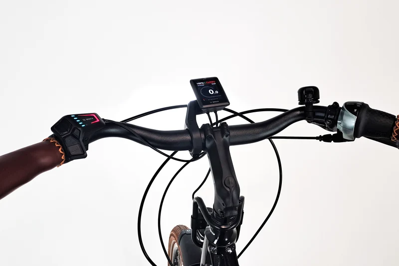 Riese & Müller Cruiser2 Mixte Silent Noir T.50 1825