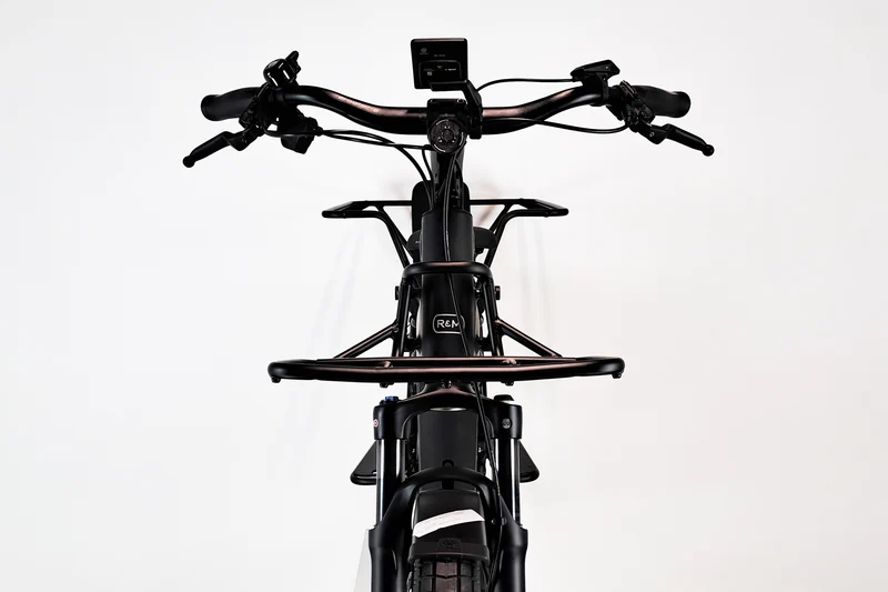 Riese & Müller Multicharger2 Mixte GT Family 1821
