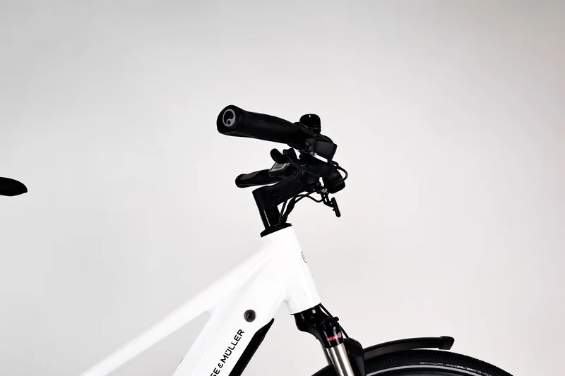 Riese & Müller Roadster Mixte Touring Blanc 1801