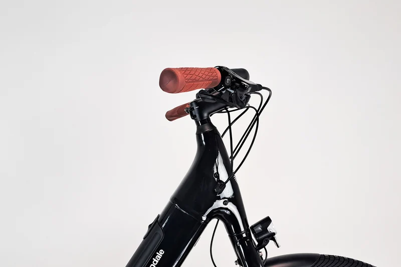 Cannondale Adventure Neo 3.1 EQ Noir