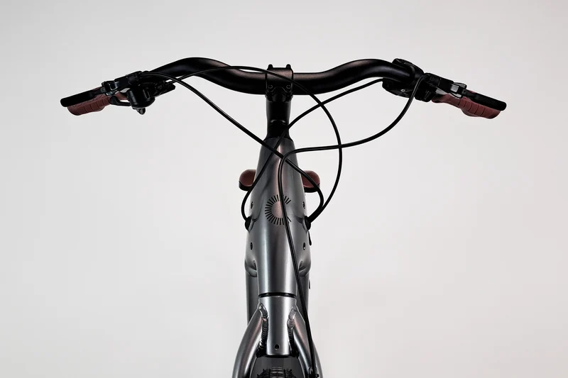 Cannondale Adventure Neo 4 Gris