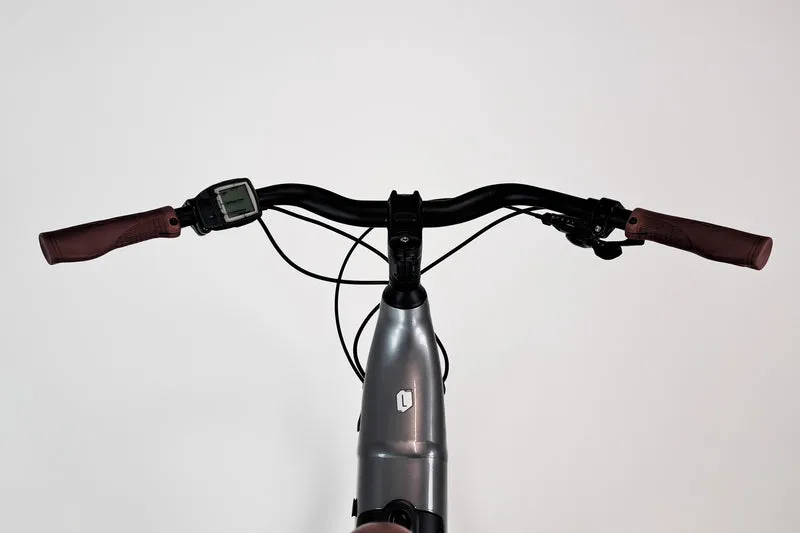 Cannondale Adventure Neo 4 Gris